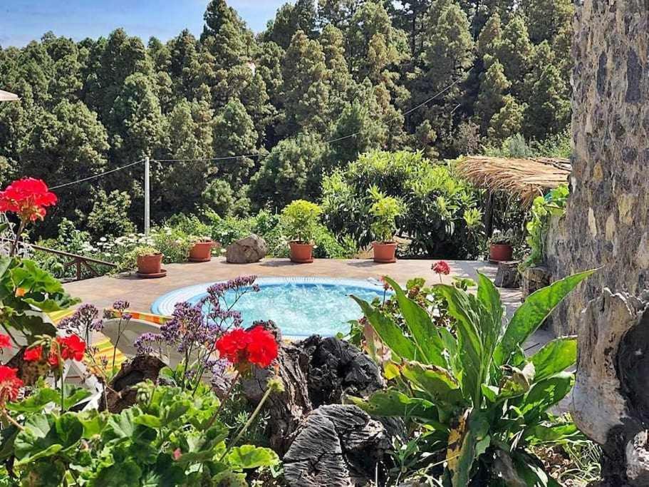 Finca Los Tamarillos Santa Cruz de Tenerife Bagian luar foto